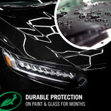 Glossy black car hood with water beading, showcasing durable paint protection results.