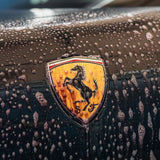 Labocosmetica iron remover gel on a luxury car with a horse emblem
