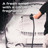 Nasiol Cleanion Pro Shampoo 500mls | The Detailer's Emporium